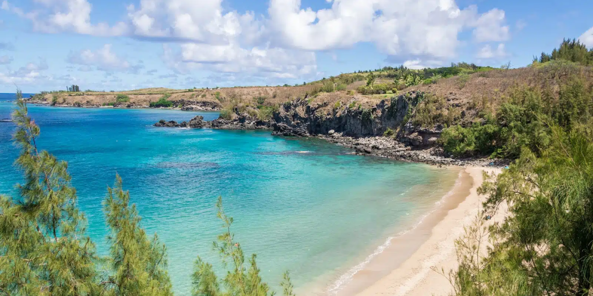 cdd6cc1967315c4be266737bdfa657932ccf6a4a