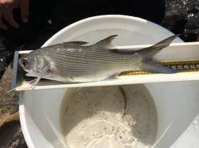 ce89799553bb3b260be2c83f11ac9035ab184d62