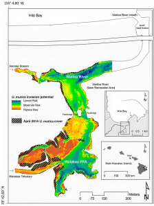 d56ff0b54f134279054deb19abfa5e0ad452e322