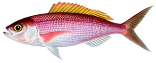 dcbc3ef835ed8681d755296eb1f0fcdbf74f297e