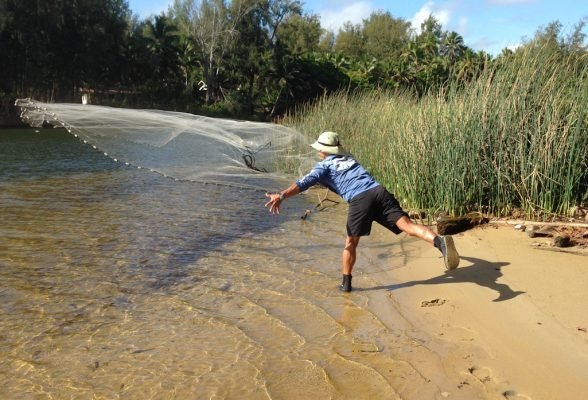 dd065c2ede4f3f185804313f2b0ffea08bda675e