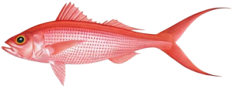 e0e253bd3c68a683d84d5ba32eb46f01aeb6afe4