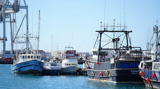 e1acc658b8e0e195e48371d551291a943956b633