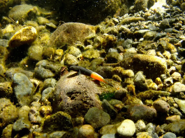 e2b89fe79c60ed376c5c9f8bfa83e048275e96de