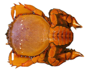 e463f222c8d87e651ef72af05db7efa403fbc901 (1)