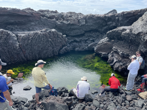 e46f71ef95f077c725498672cf37ce175c3db962