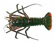 e8e95bac2aa672e65a7e21ac00df844c7413191f (1)