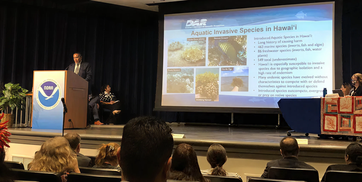 eb96f79903da5ac728b813cd7b4c06a6f798b27d