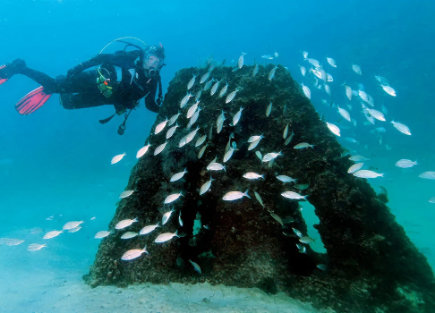 f1d55065c0d3b4036ad04d8d9929aac682e76d1e