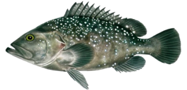 f66a5ef9d478f1e3b6b8d84563c1c5275c19357c