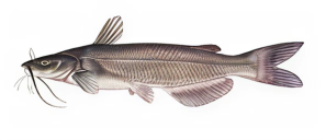 f93917ca30448c35650ce218c25241ba160df5c6