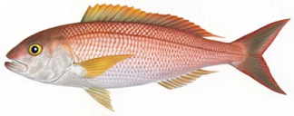 f9a2026b2fea4656b15f22d018e7f3364ba15c19