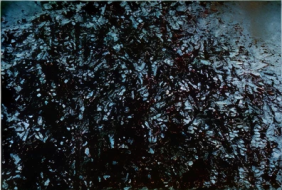 fb6b7c20c6d30f557a8222a31bf1a3e11f58732d